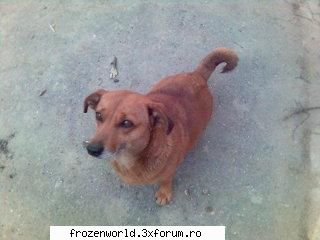 Jocul pozelor - spo0ky - Jocuri ONline