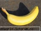 Jocul pozelor - polly. - Jocuri ONline